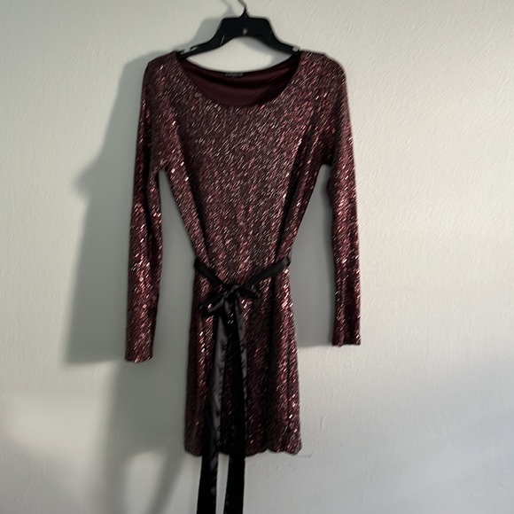 EUC Express, gorgeous burgundy wine color sequin and silver shimmer thread dress - Picture 3 of 5